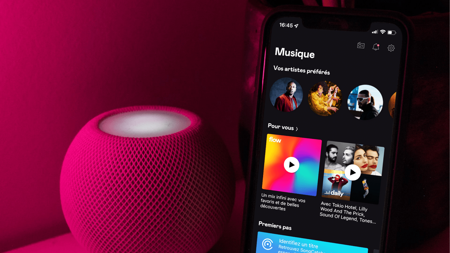 Contribution Pexels de Spirit Notes